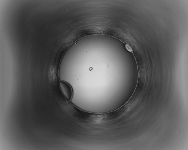 X0000100320131200806051525