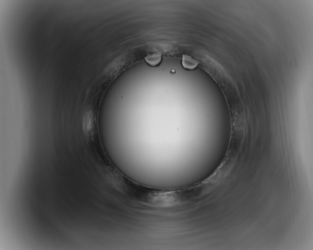 X0000100320132200806051525