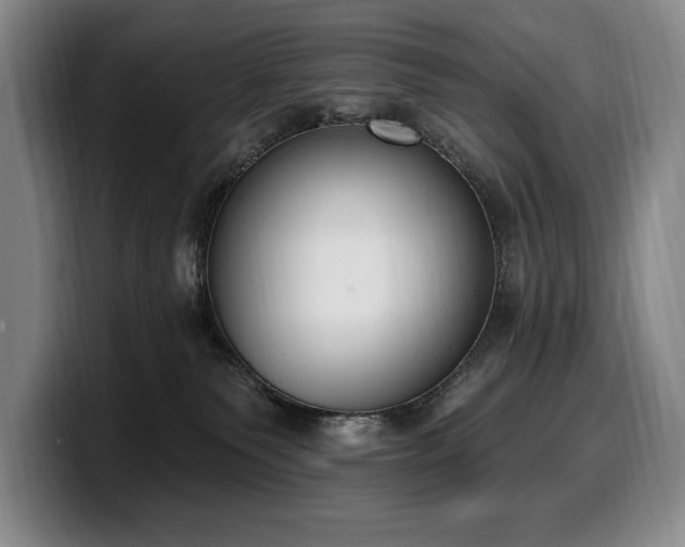 X0000100320135200806051525