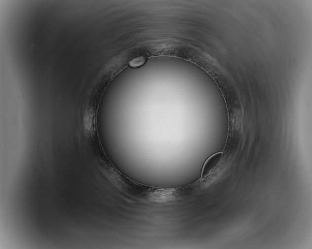 X0000100320138200806051525