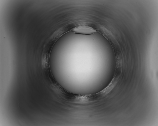 X0000100320140200806051525