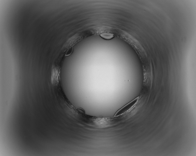 X0000100320142200806051525