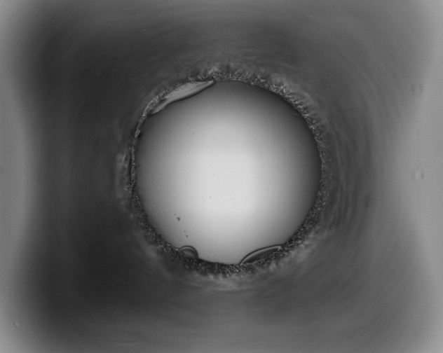 X0000100320144200806051525