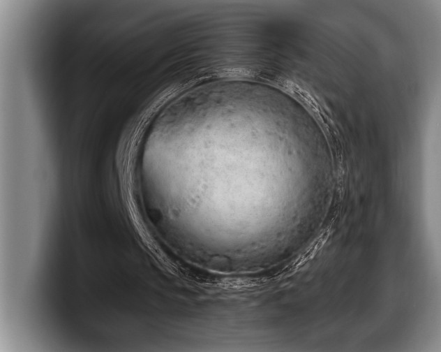 X0000100320145200806051524