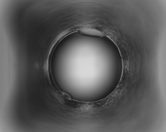 X0000100320148200806051524