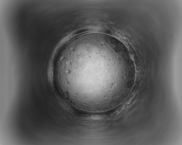 X0000100320149200806051524