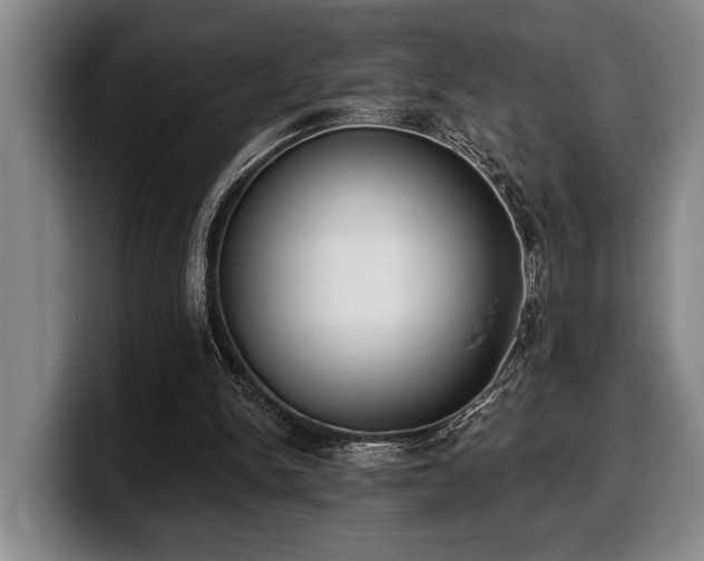 X0000100320150200806051524