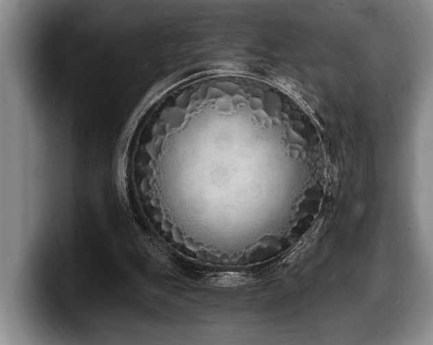 X0000100320151200806051524