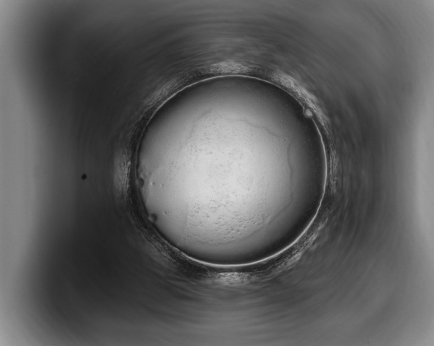 X0000100320153200806051524