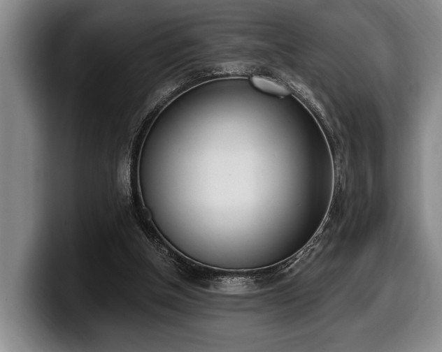 X0000100320154200806051524