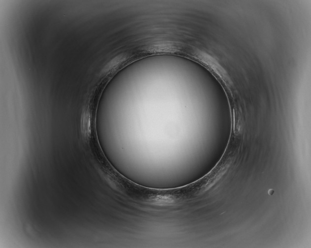 X0000100320157200806051524