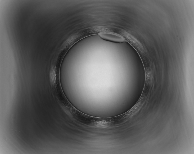 X0000100320158200806051524