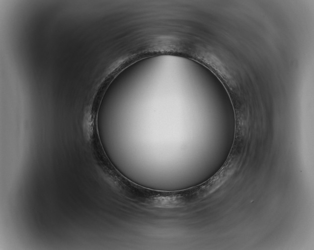 X0000100320160200806051524