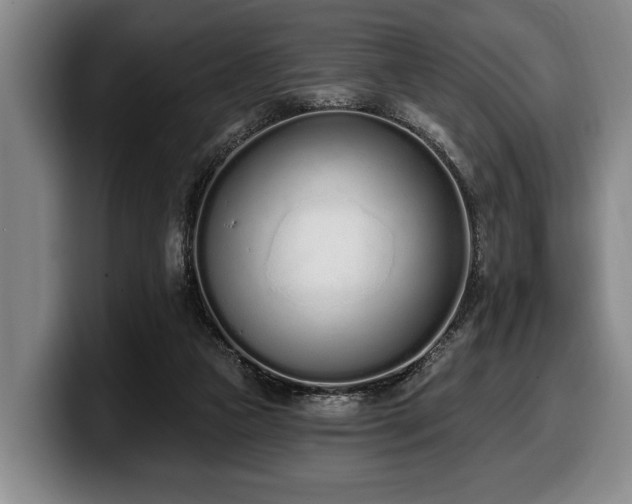 X0000100320161200806051524