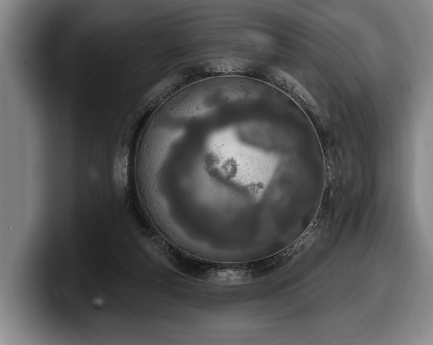 X0000100320163200806051524