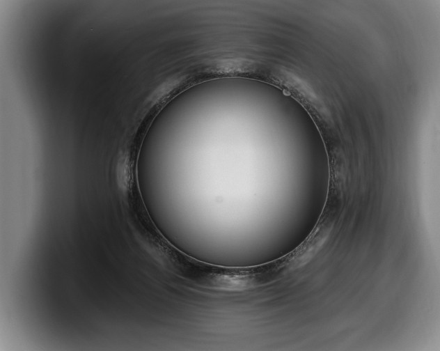 X0000100320164200806051524