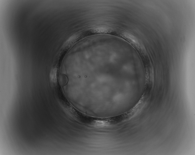 X0000100320167200806051524