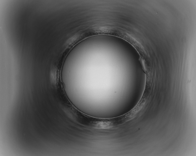 X0000100320168200806051524