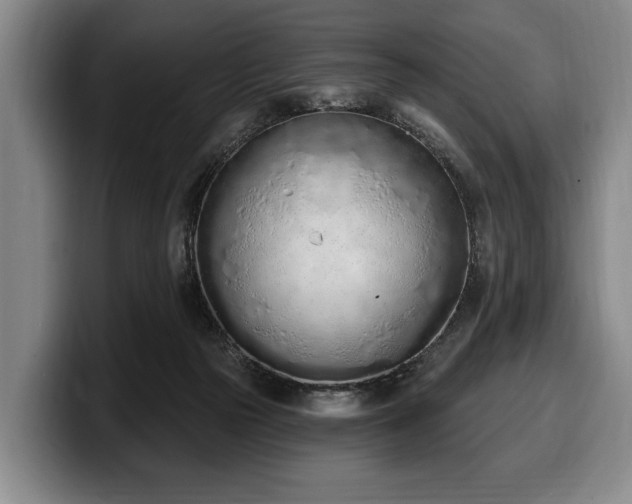 X0000100320169200806051524