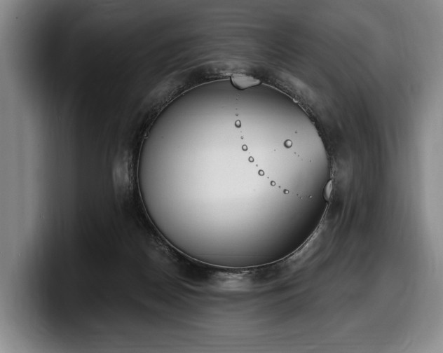 X0000100320170200806051524