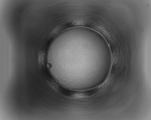 X0000100320171200806051524