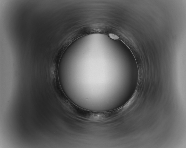 X0000100320174200806051525