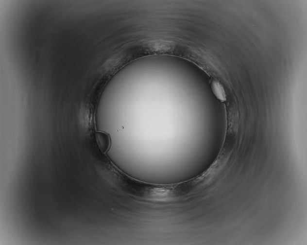 X0000100320176200806051525