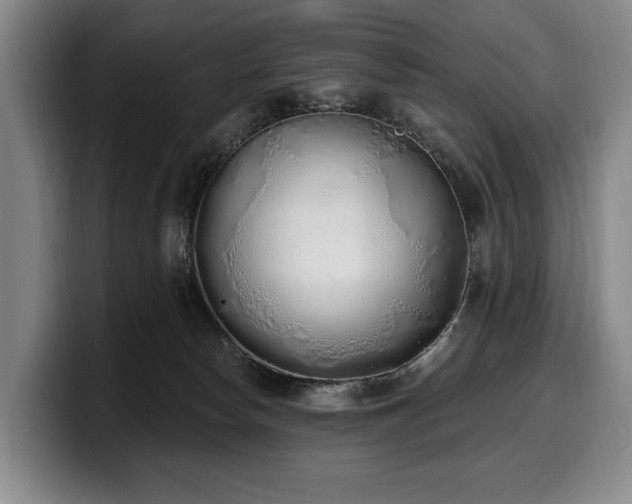 X0000100320178200806051525