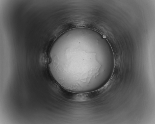 X0000100320179200806051525