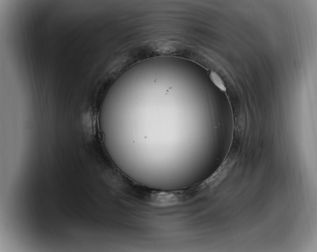 X0000100320180200806051525