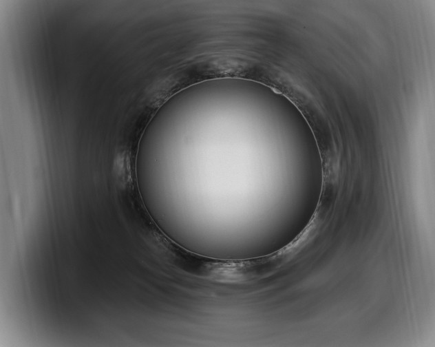 X0000100320182200806051525