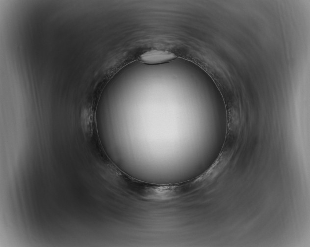 X0000100320184200806051525