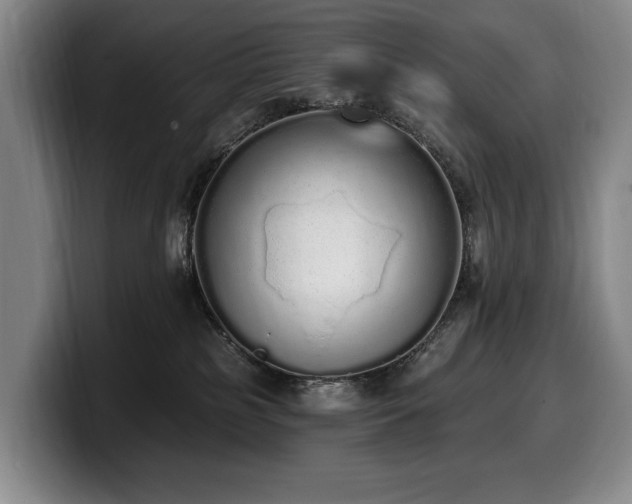 X0000100320185200806051525