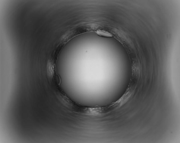 X0000100320188200806051525