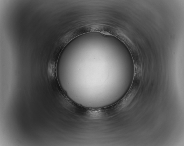 X0000100320189200806051525