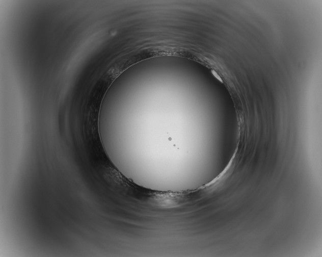 X0000100320190200806051525