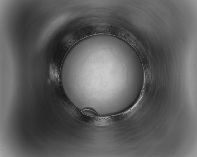 X0000100320191200806051525