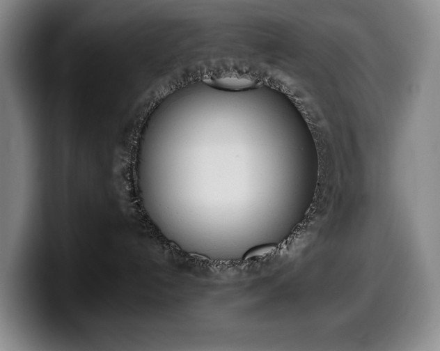 X0000100320192200806051525