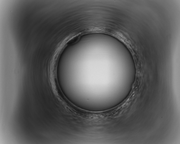 X0000100320193200806051524