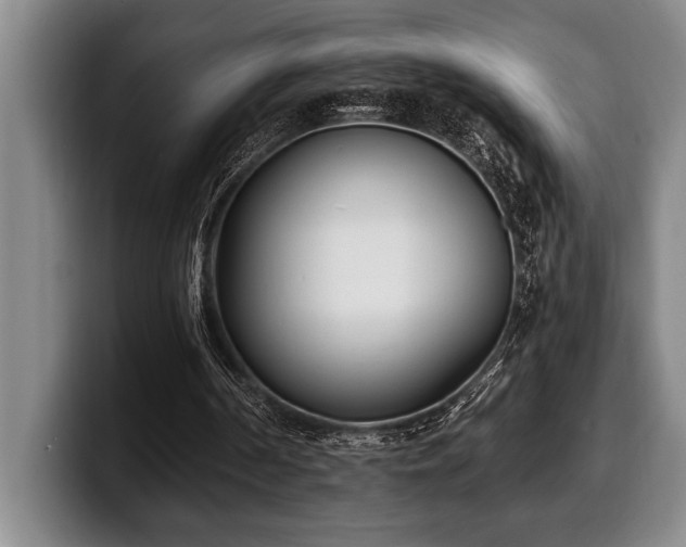 X0000100320194200806051524