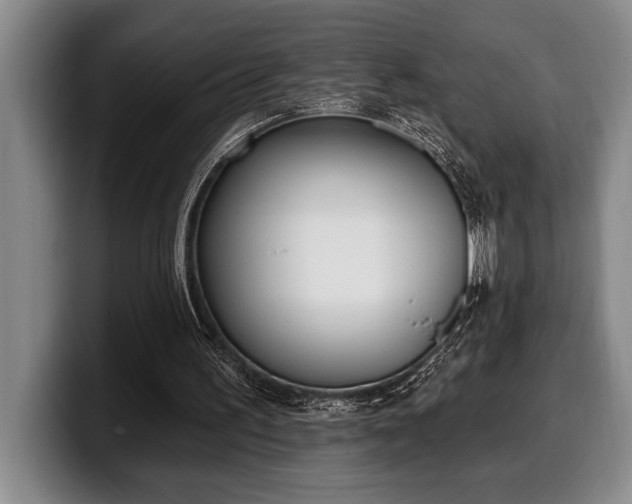 X0000100320195200806051524