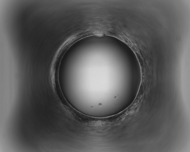 X0000100320197200806051524