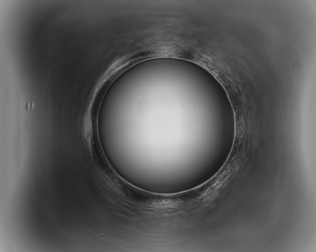 X0000100320198200806051524