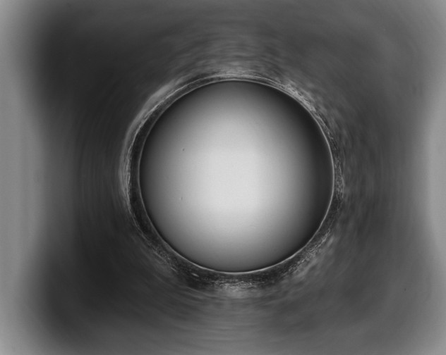 X0000100320199200806051524