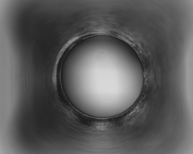 X0000100320200200806051524