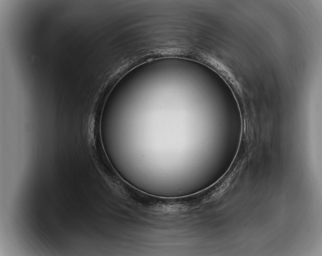 X0000100320201200806051524