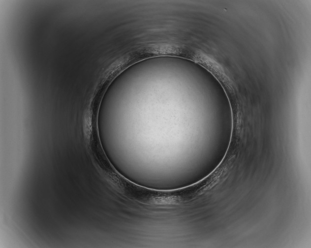 X0000100320202200806051524