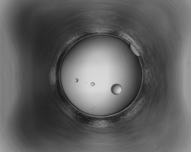 X0000100320203200806051524