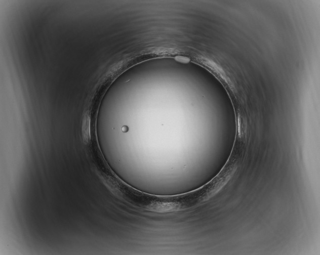 X0000100320205200806051524