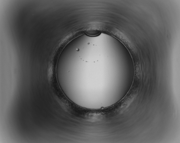 X0000100320208200806051524